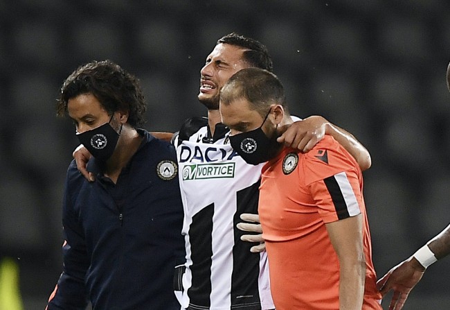 在新任主教 在新任主教